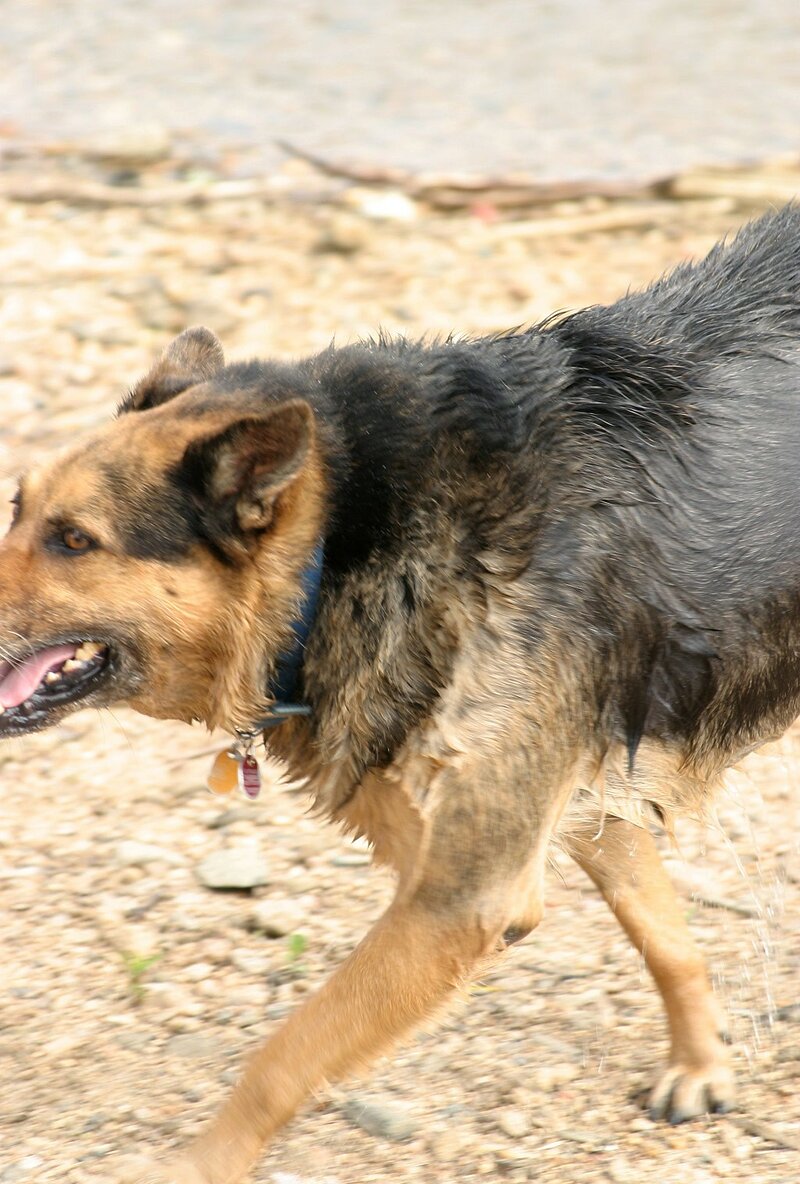 Женя, 23 года, 1 размер груди